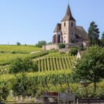 Najkonkurencieschopnejšie vína robia Francúzi